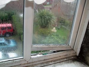 Abbey Damp Proofing condensation treatments