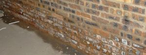 Abbey Damp Proofing rising damp banner image